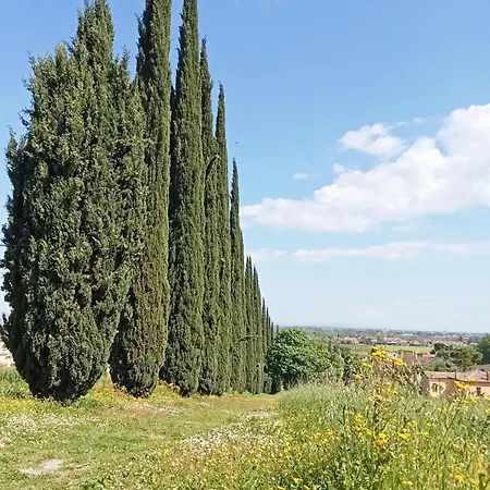 Casalice & Breakfast *